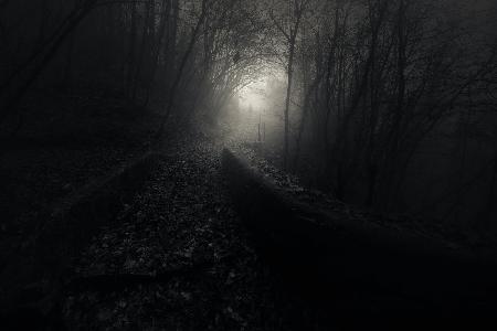 Fading into the light