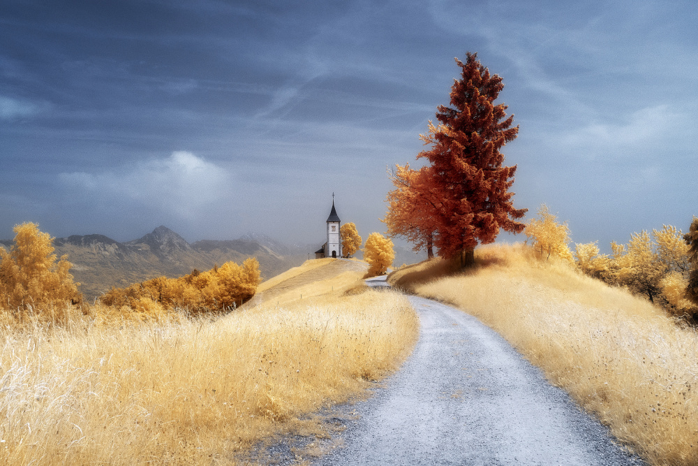 Dreamy landscape von Filippo Manini