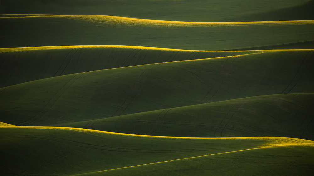 Gold Line von Fion Wong