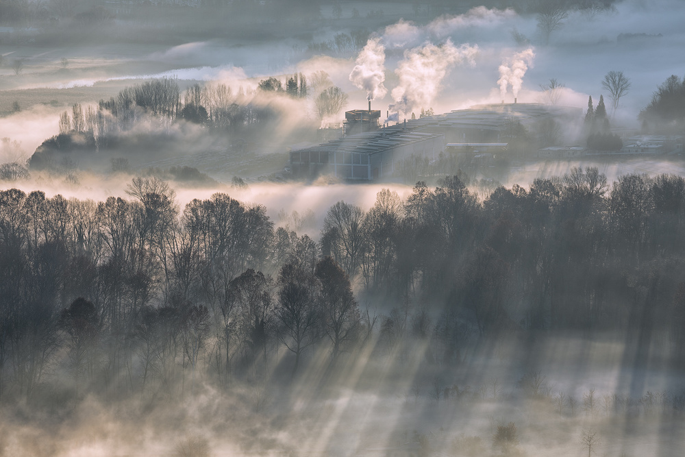 Work area von Fiorenzo Carozzi