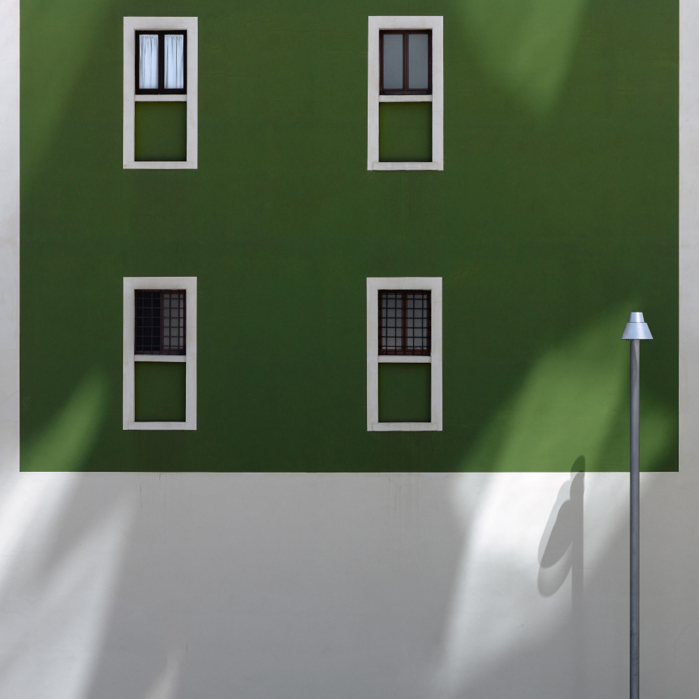 The Guardian von Fiorenzo Rondi