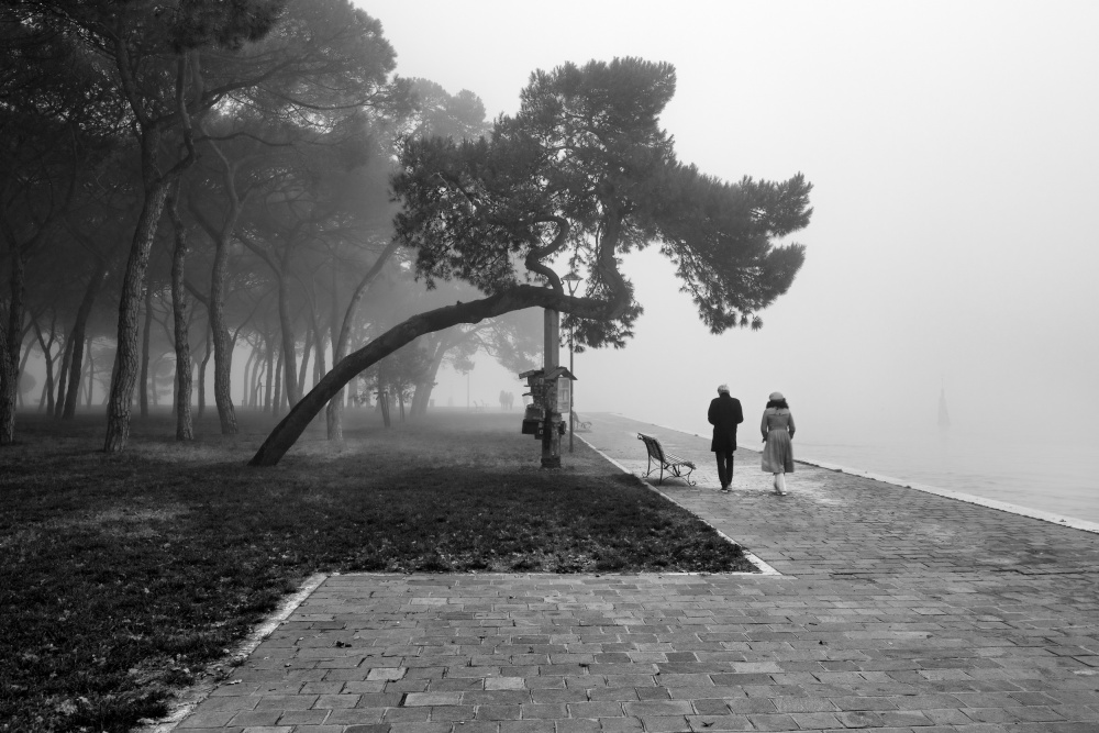Venice von Fiorenzo Rondi