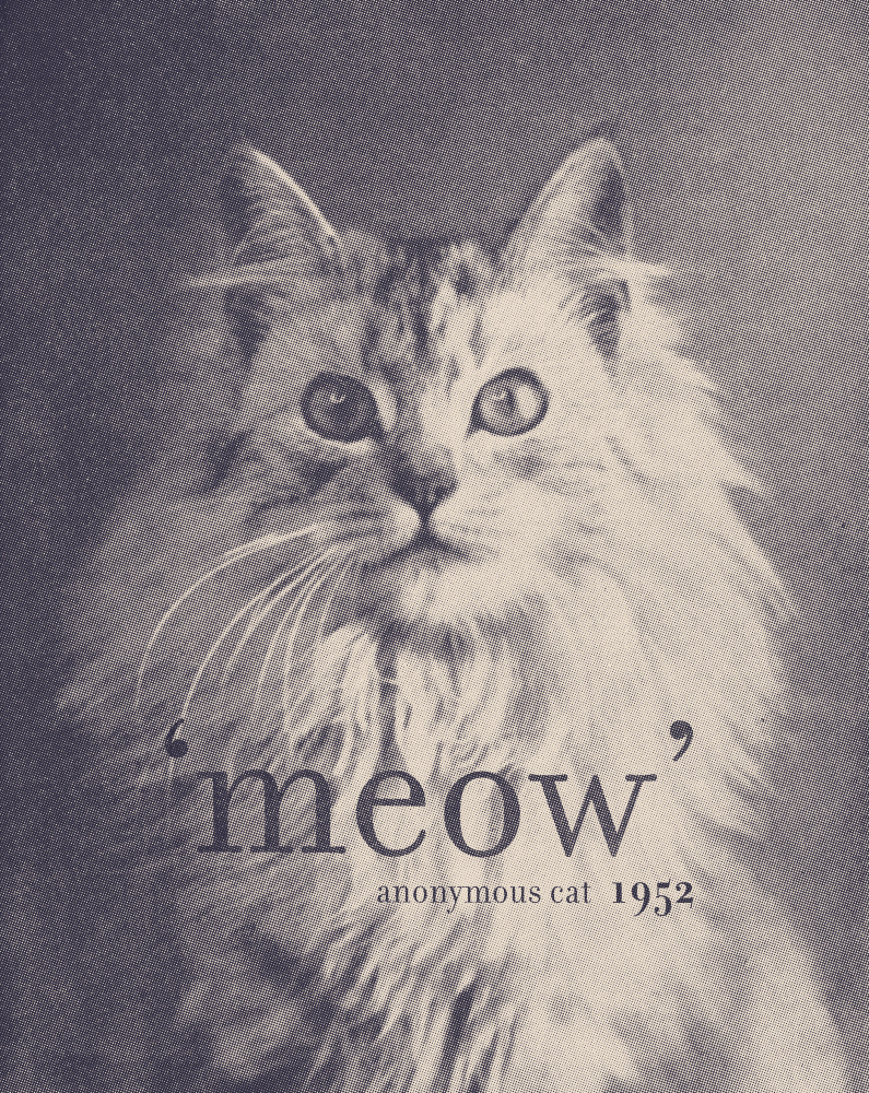 Famous Quote Cat von Florent Bodart