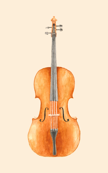 Cello von Florent Bodart