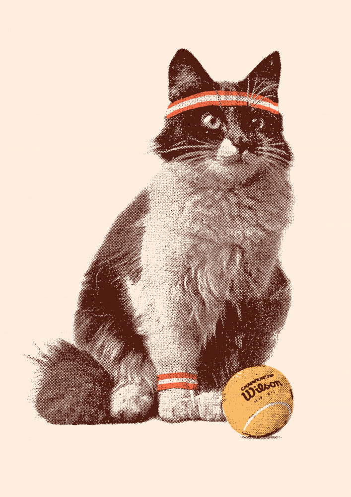 Chat Tennis von Florent Bodart