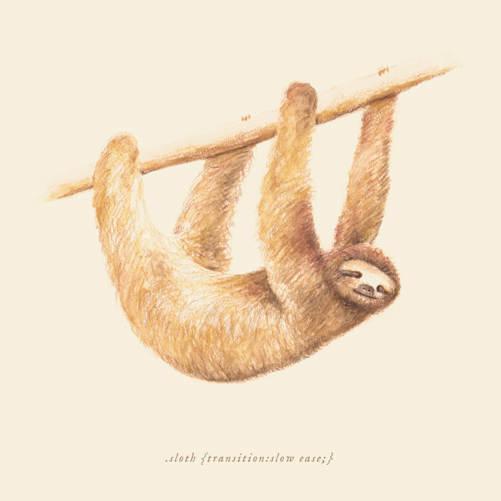 Css Animals   Sloth von Florent Bodart