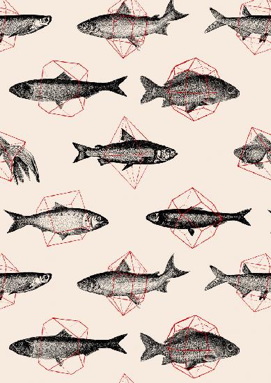 Fishes In Geometrics Nº4