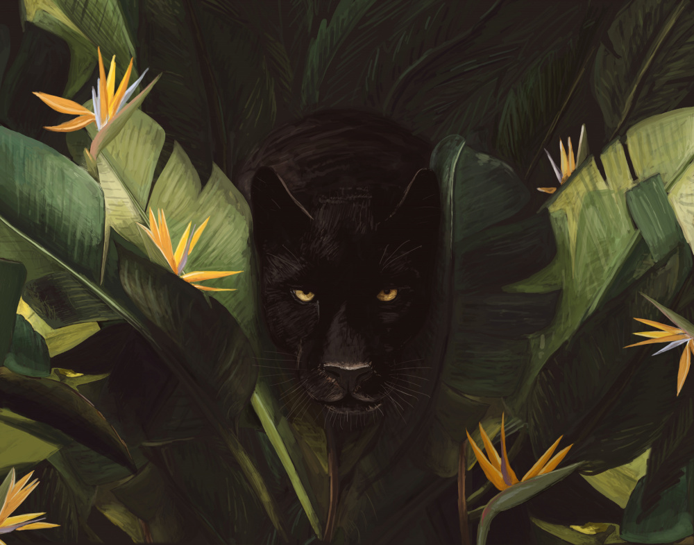 Hello Panther von Florent Bodart