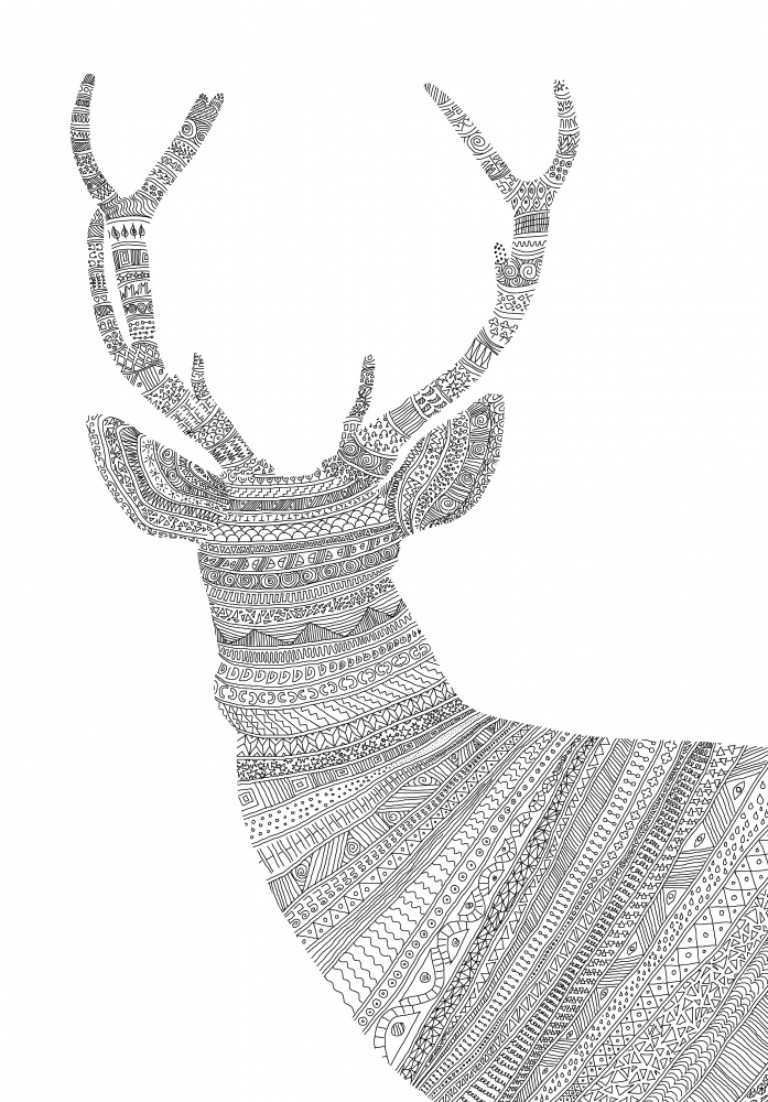 Stag White von Florent Bodart