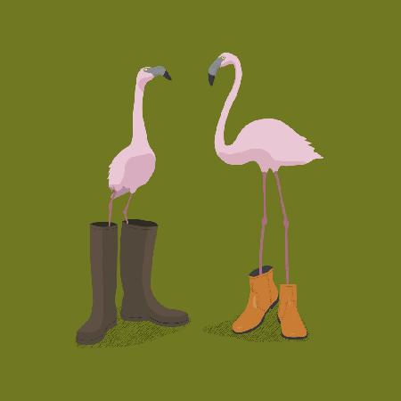 Fashion Flamingos