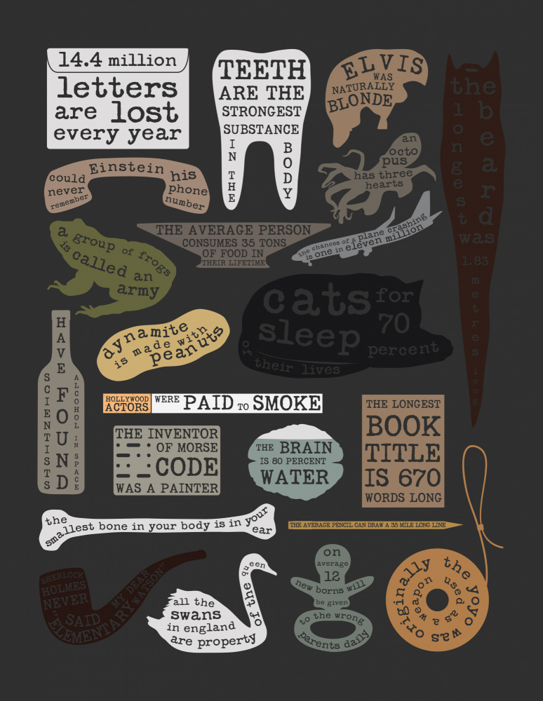 Useful Facts von Florent Bodart