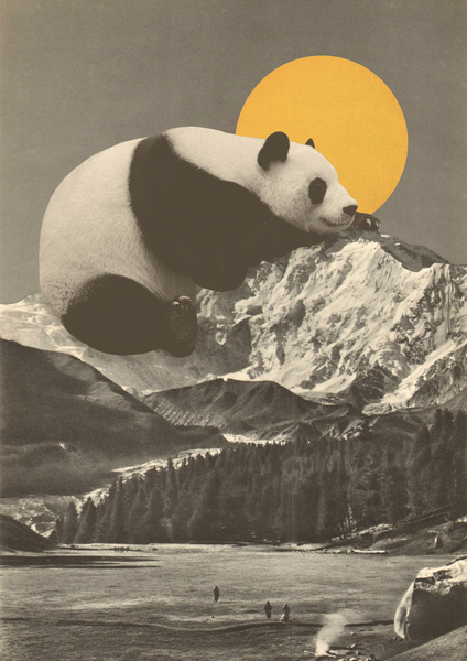 Pandas Nap into Mountains von Florent Bodart