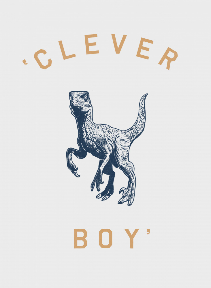 Clever Boy von Florent Bodart