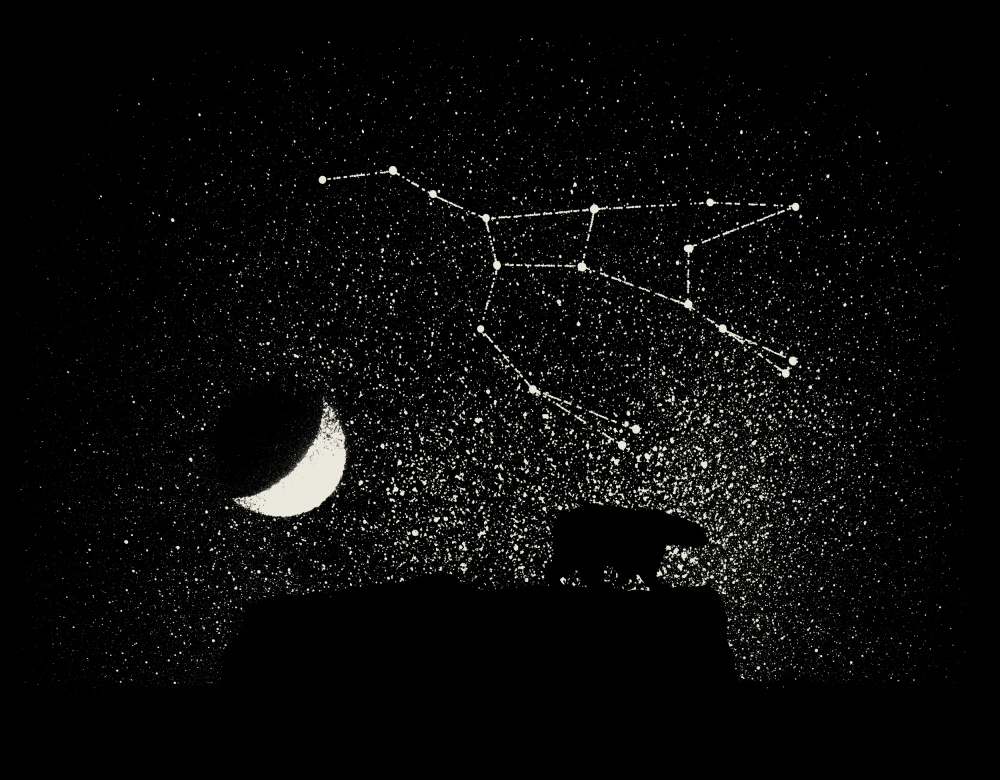 Ursa Major von Florent Bodart