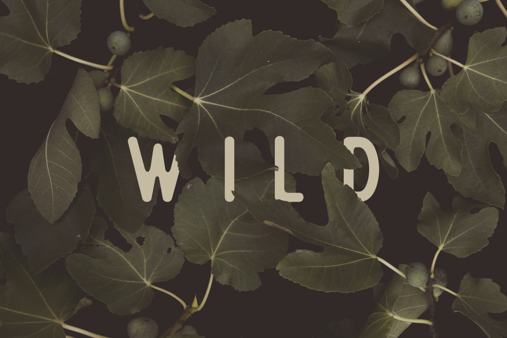 Wild Nº1 von Florent Bodart