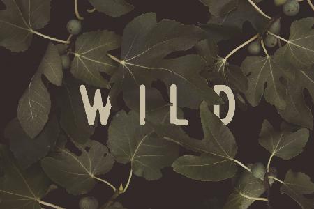 Wild Nº1