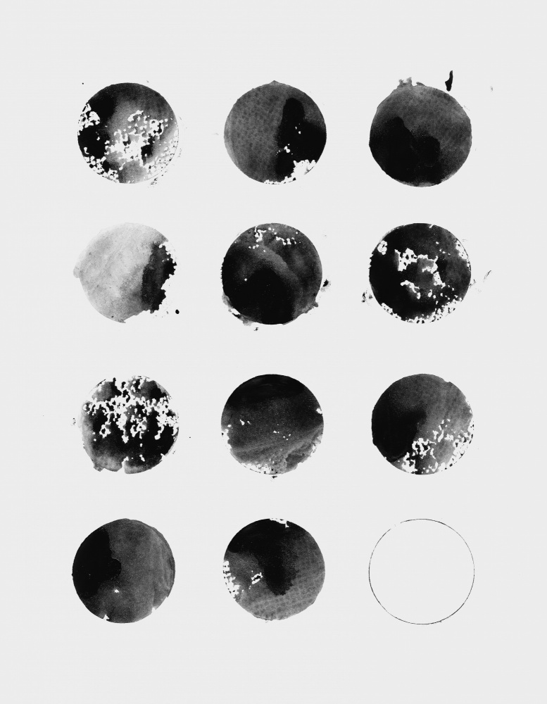 Twelve Moons von Florent Bodart