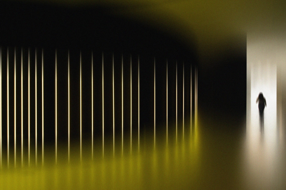 N/T von Florentinus Joseph