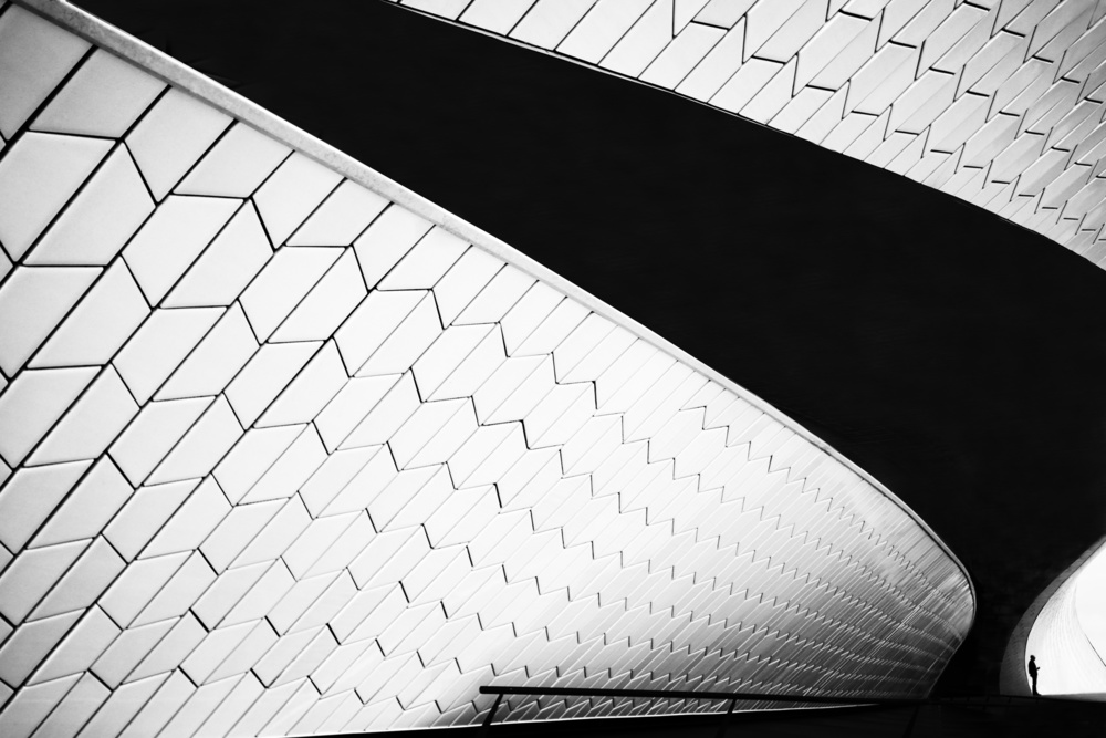 untitledl von Florentinus Joseph