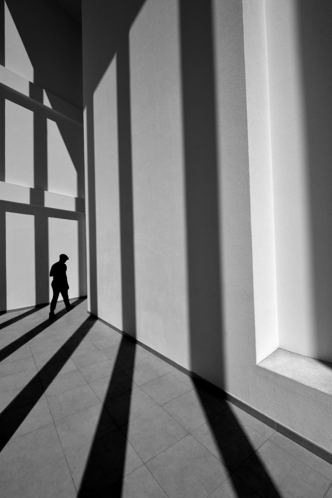 black line von Florentinus Joseph