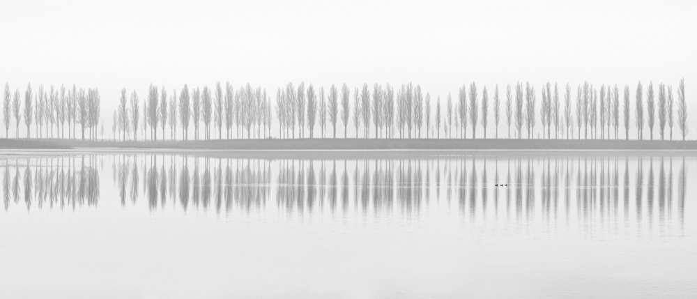 misty alley von fotoea