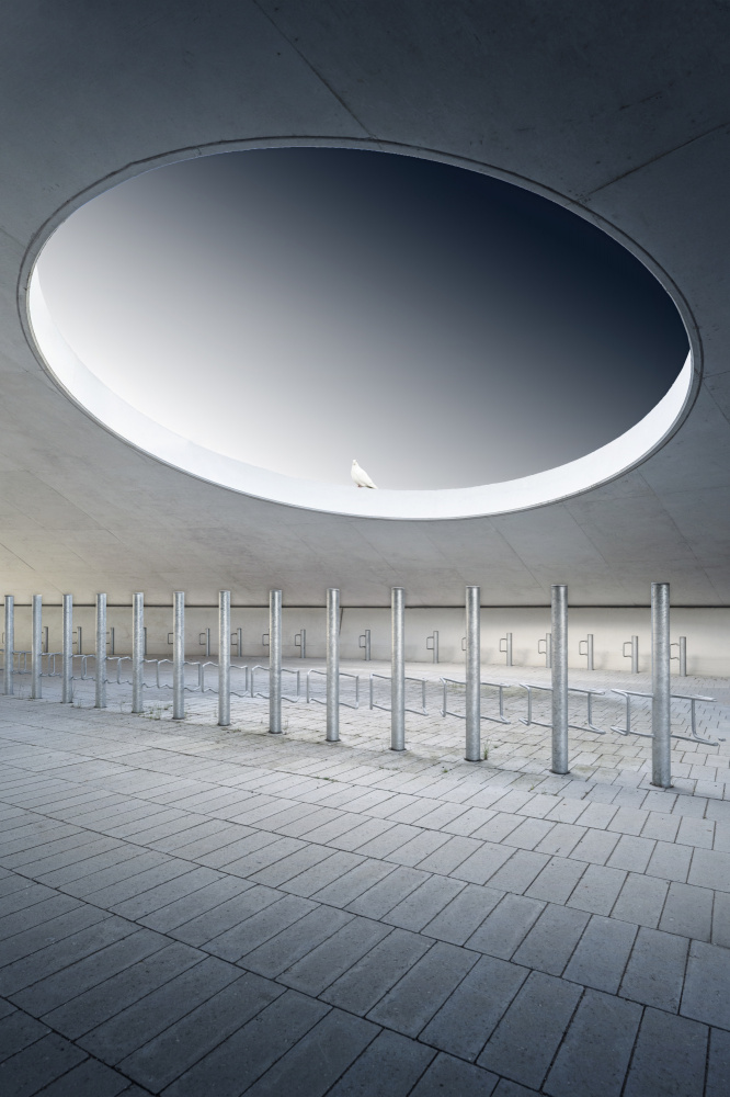 the minder von fotomarion