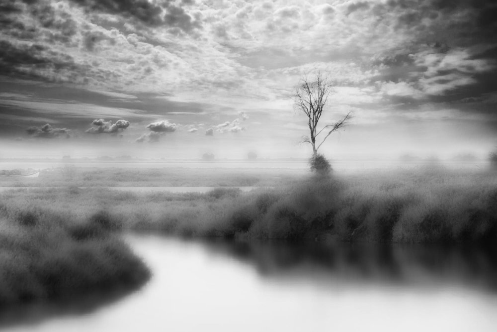 inside out von fractal