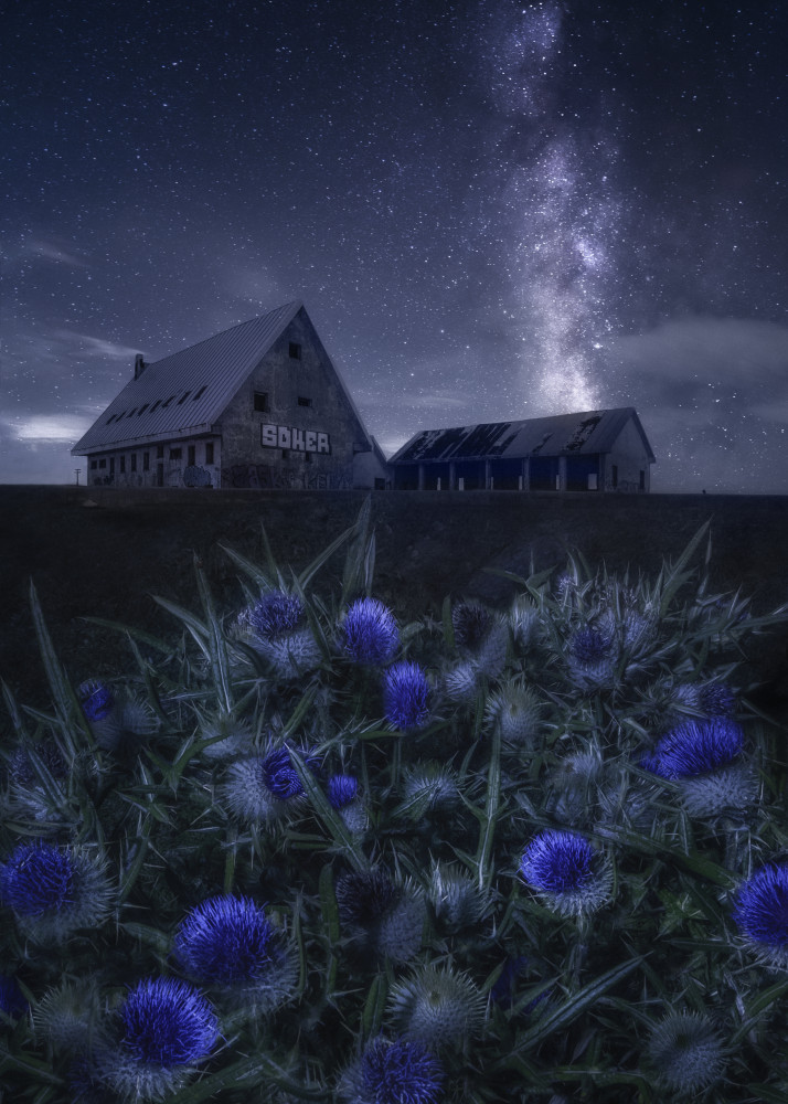 Blue night von Fran Osuna