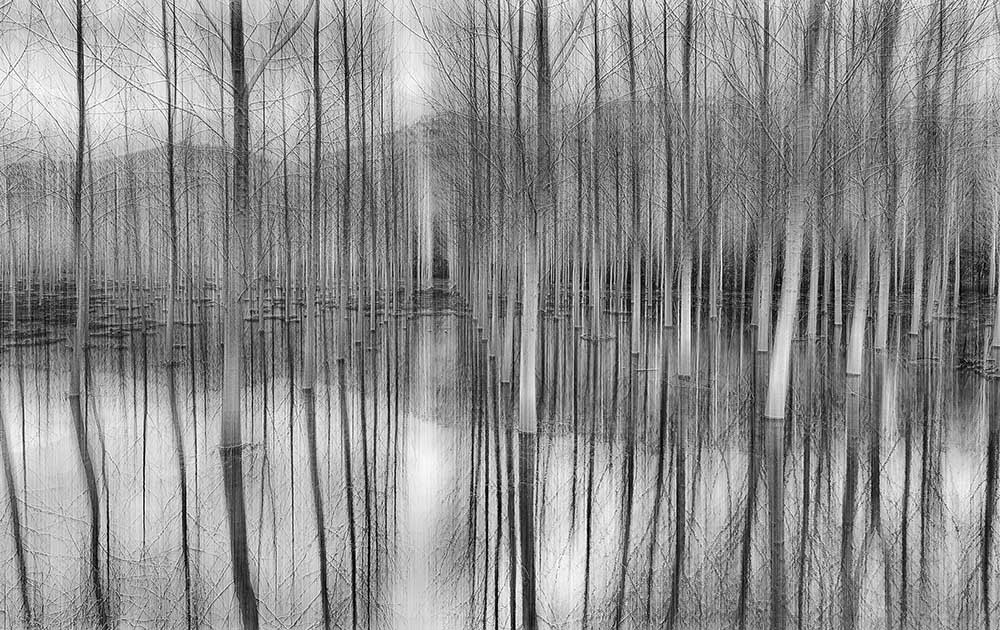 Reflexionen von Fran Osuna