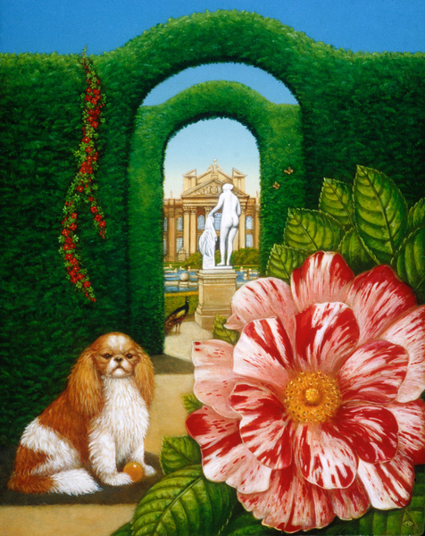 Rosa Mundi von Frances Broomfield