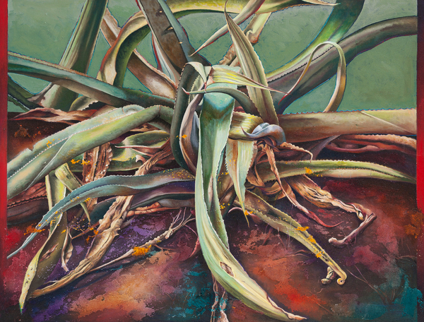 Century Plant von Frances Ferdinands