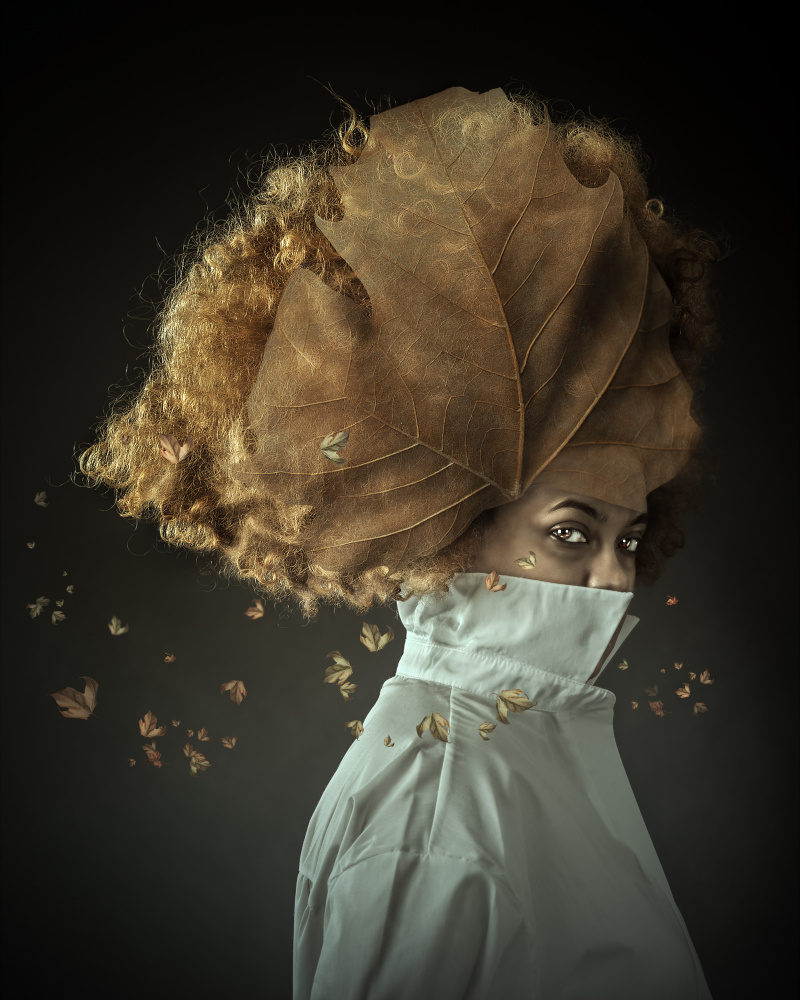 AUTUMN II von Francis Calderon