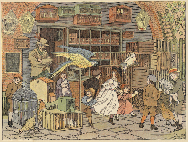 Bedfords Book of Shops: Bird-fancier von Francis Donkin Bedford