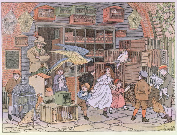 The Pet Shop, from The Book of Shops von Francis Donkin Bedford