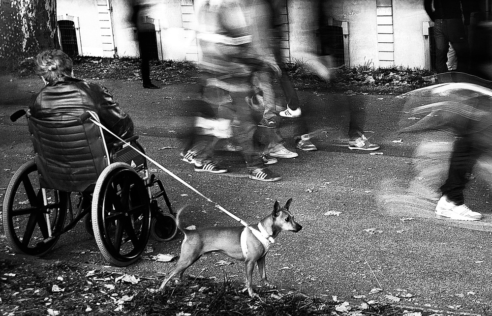 legs von Franco Maffei