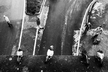 four pigeons, four men and a dog