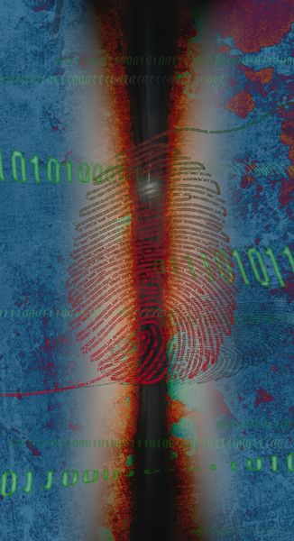 DIG1TS von Francois Domain