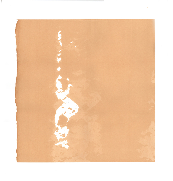 Whirling Dervish von Francois Domain