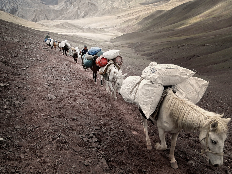 On Trail von Frank Daske