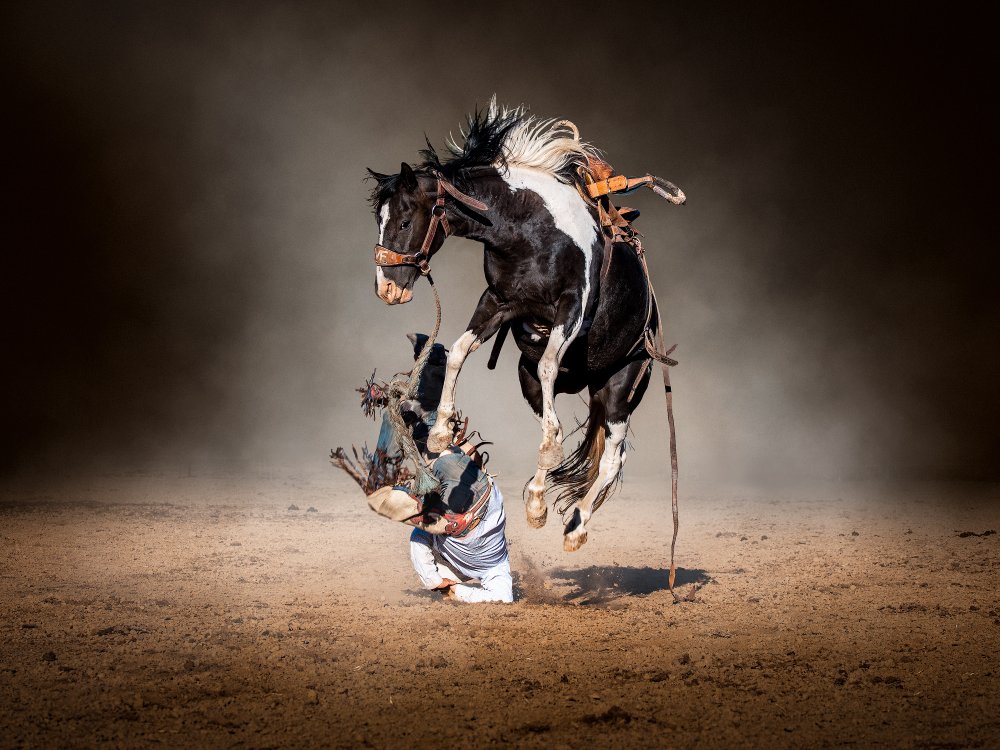 " Sorry Mate" von Frank Ma