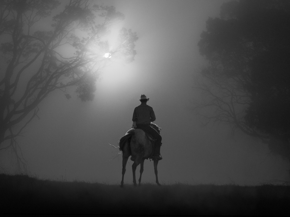 Riding in Dawn Mist von Frank Ma
