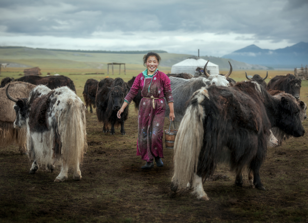 Happy Milking von Frank Ma