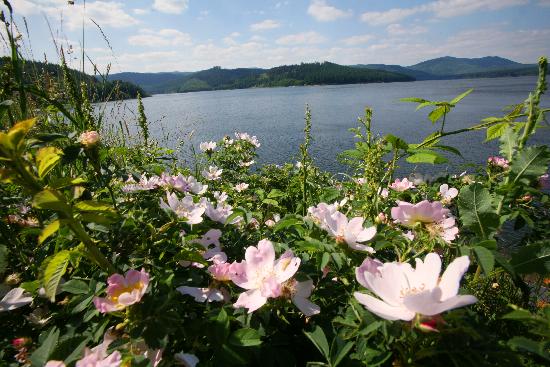 Grane Talsperre von Frank May