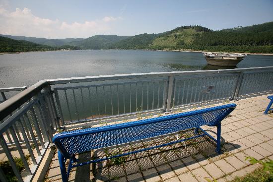 Innerste Talsperre im Harz von Frank May