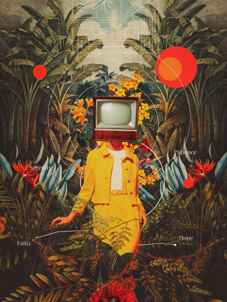 She Came From the Wilderness von Frank Moth