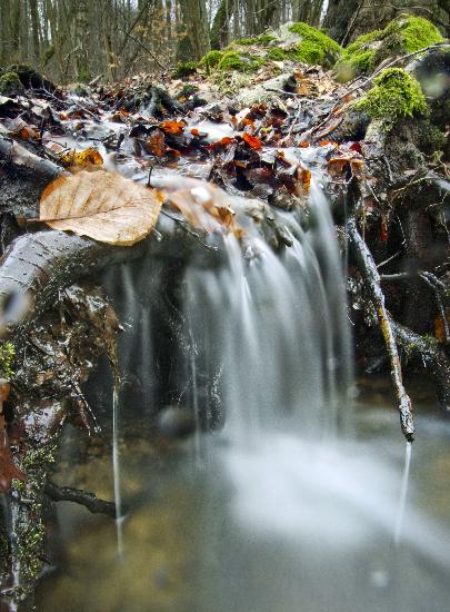 Kleiner Bach im Taunus von Frank Rumpenhorst