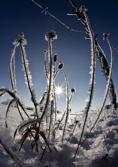 Wintersonne an der Grenze zwischen Hessen und Thüringen von Frank Rumpenhorst