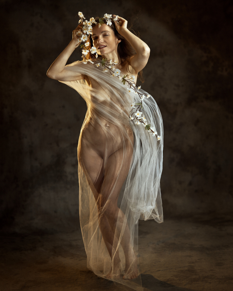 Mystery von Franky De Meyer