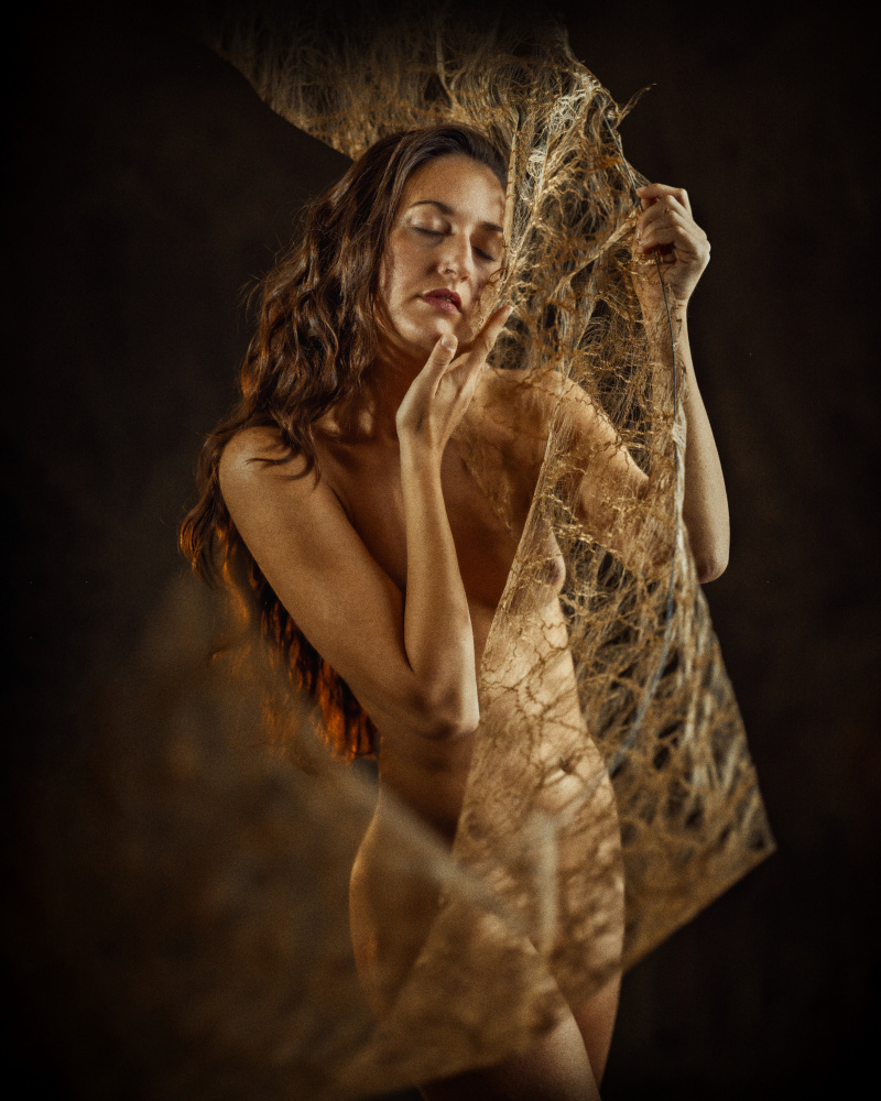 Shine von Franky De Meyer