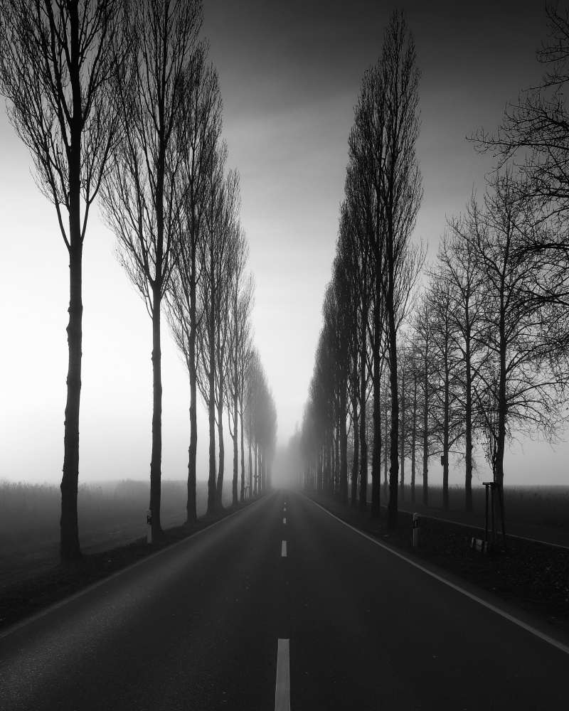 November von Franz Baumann